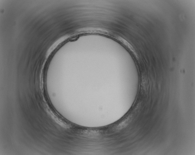 X0000080711082200701051003