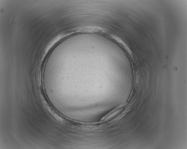 X0000080711083200701051003