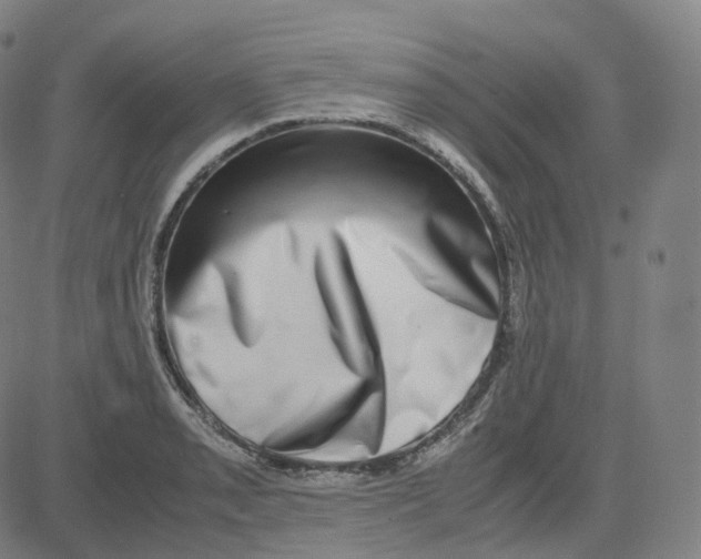 X0000080711085200701051003