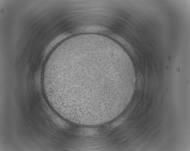 X0000080711086200701051003