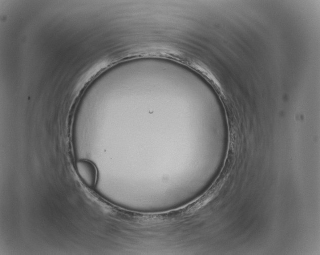 X0000080711087200701051003