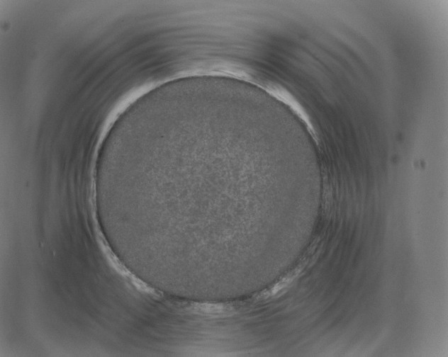 X0000080711088200701051003