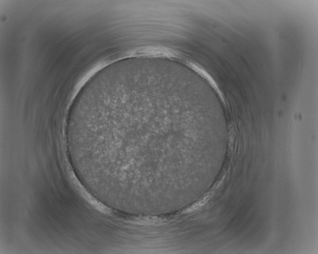 X0000080711091200701051003