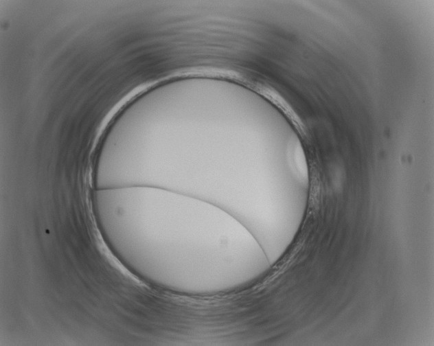 X0000080711092200701051003