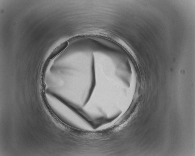 X0000080711093200701051003