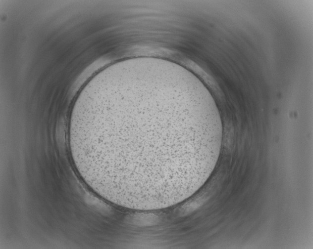 X0000080711094200701051003