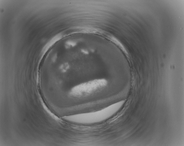 X0000080711095200701051003