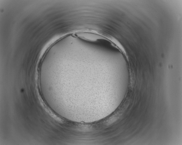 X0000080711096200701051003