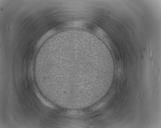 X0000080711098200701051003