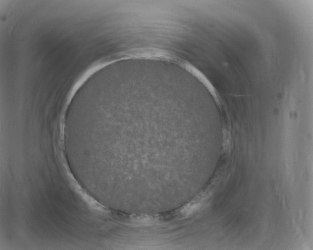 X0000080711099200701051003