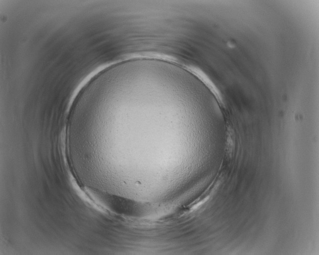 X0000080711100200701051003