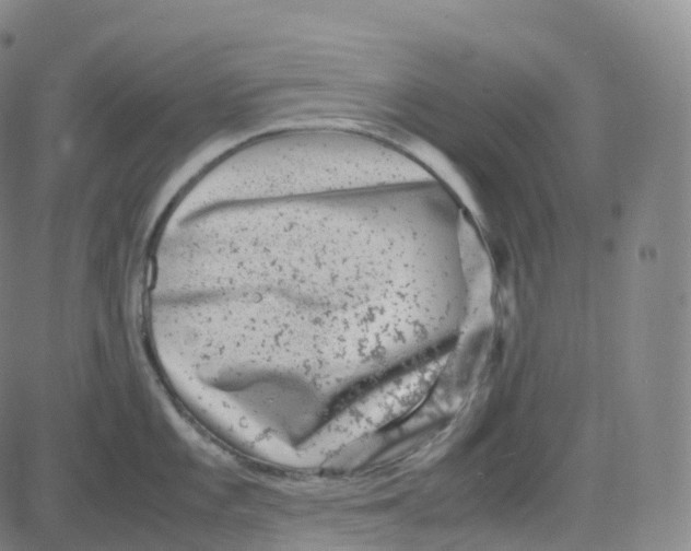 X0000080711101200701051003