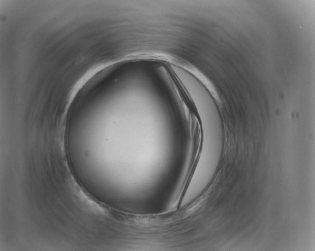 X0000080711102200701051003