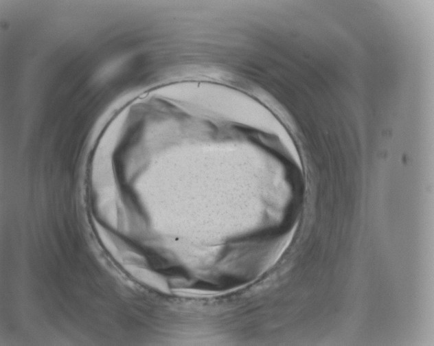 X0000080711104200701051003