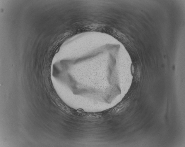 X0000080711105200701051002