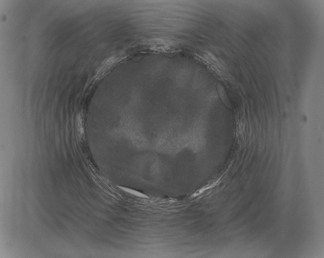 X0000080711106200701051002