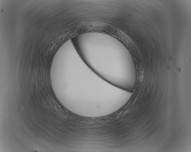 X0000080711108200701051002