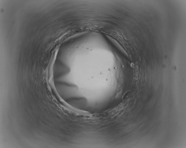 X0000080711109200701051002