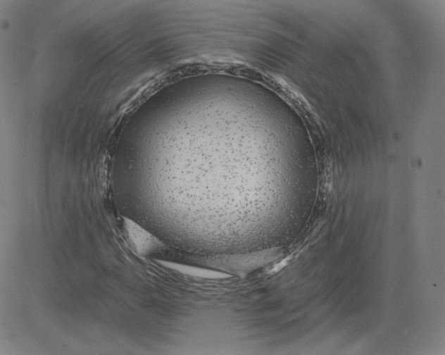 X0000080711110200701051002