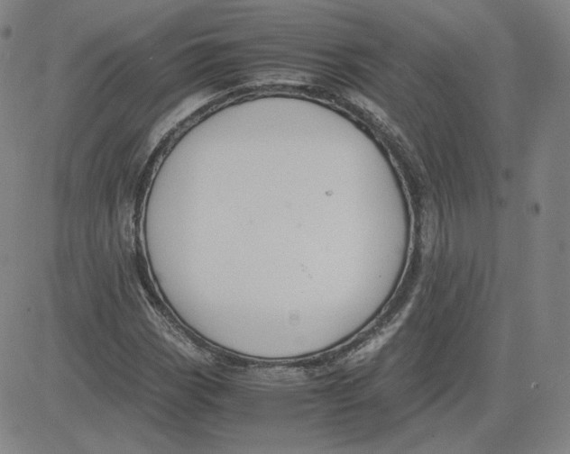 X0000080711113200701051002