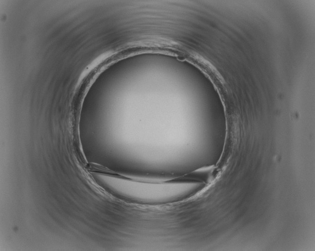 X0000080711114200701051002