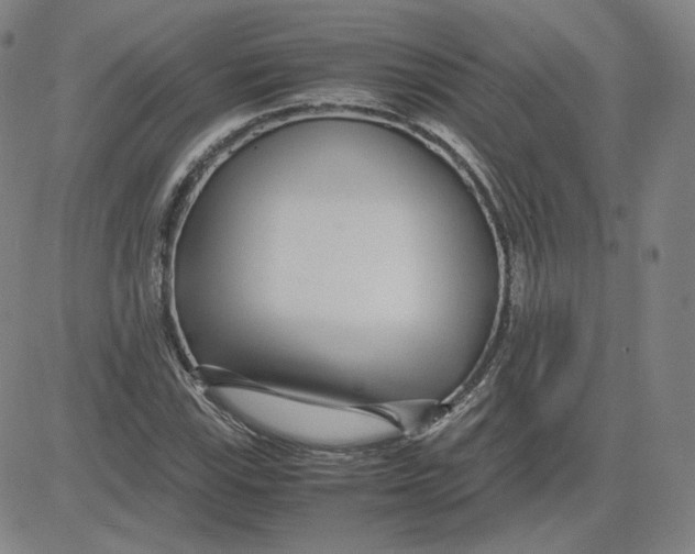 X0000080711115200701051002