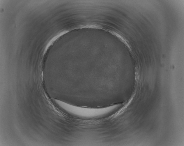 X0000080711117200701051002