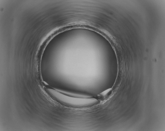 X0000080711118200701051002