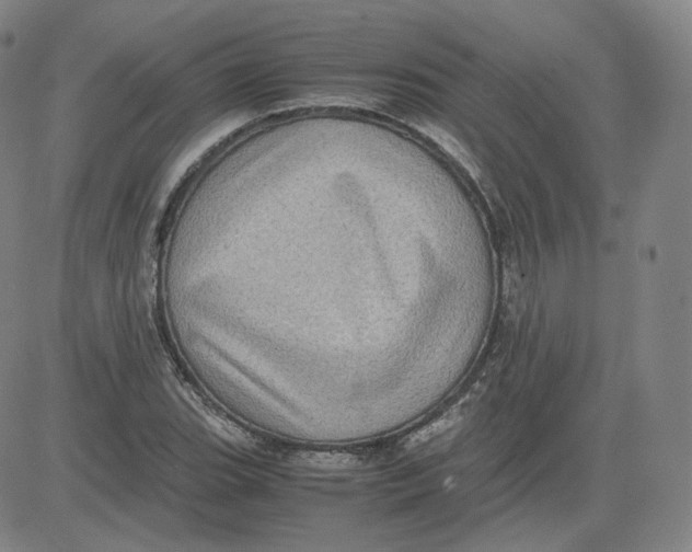 X0000080711119200701051002