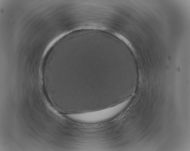 X0000080711120200701051002