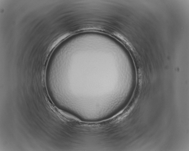 X0000080711121200701051003