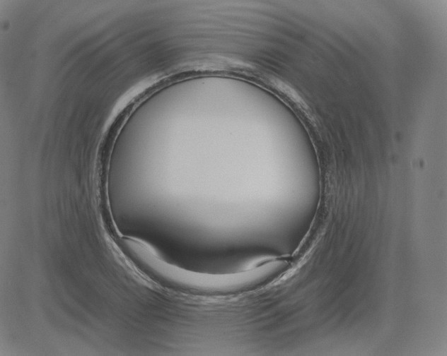 X0000080711122200701051003