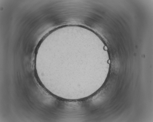 X0000080711126200701051003