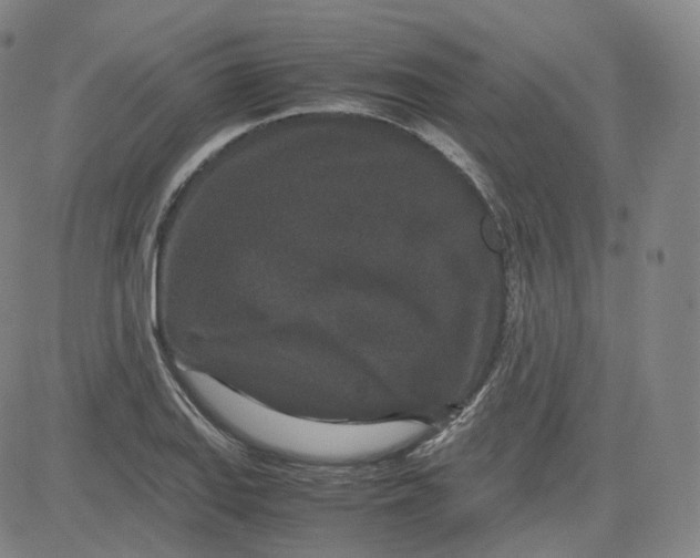 X0000080711127200701051003