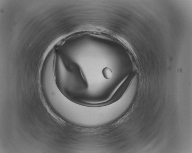 X0000080711128200701051003