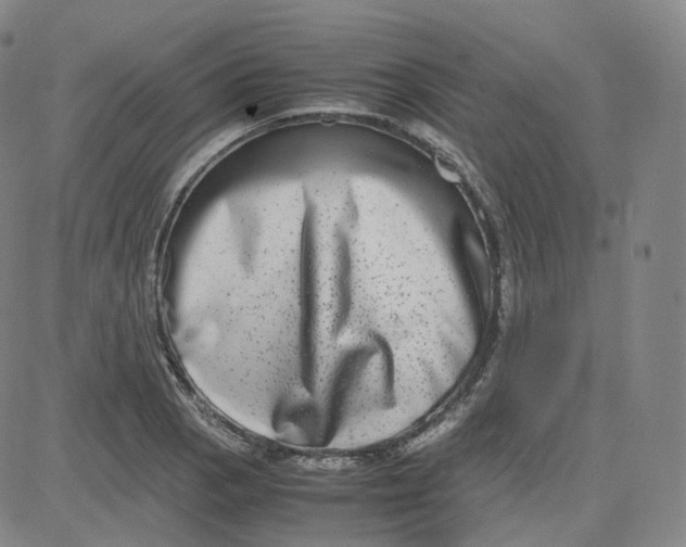 X0000080711129200701051003