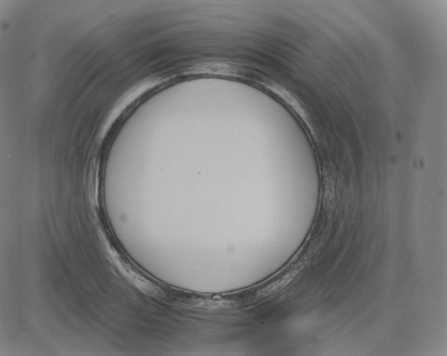 X0000080711131200701051003