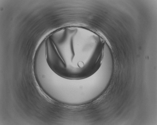 X0000080711132200701051003