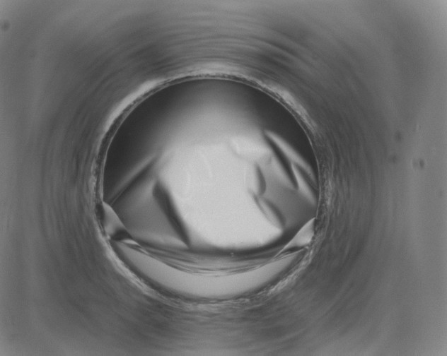 X0000080711134200701051003