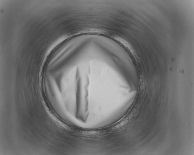 X0000080711135200701051003