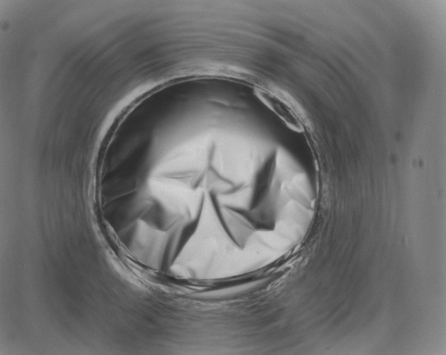 X0000080711136200701051003