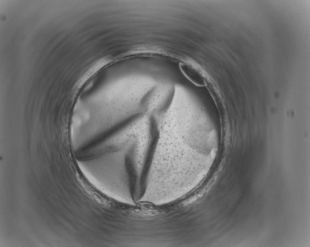 X0000080711137200701051003