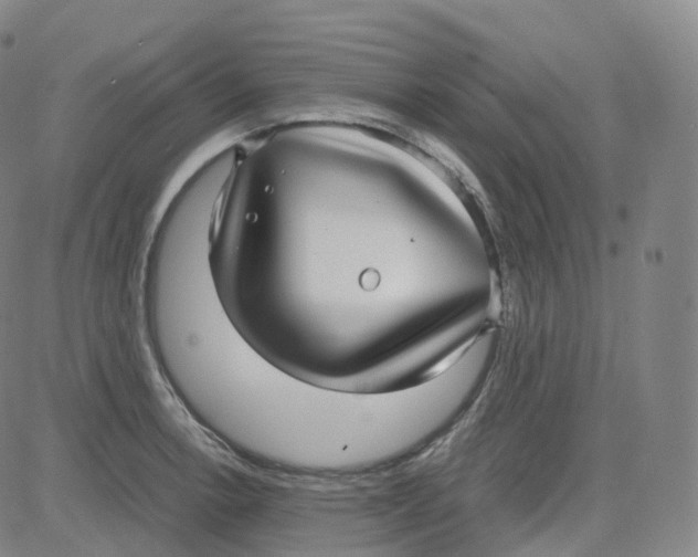 X0000080711138200701051003