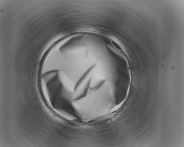 X0000080711139200701051003