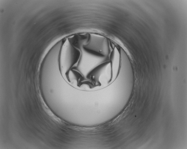 X0000080711140200701051003