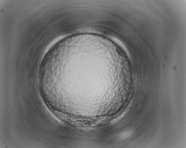 X0000080711141200701051003