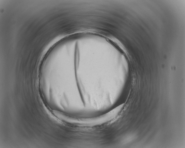 X0000080711143200701051003