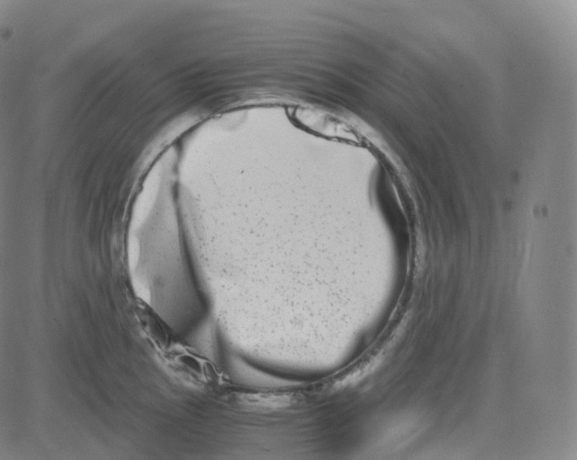 X0000080711145200701051003