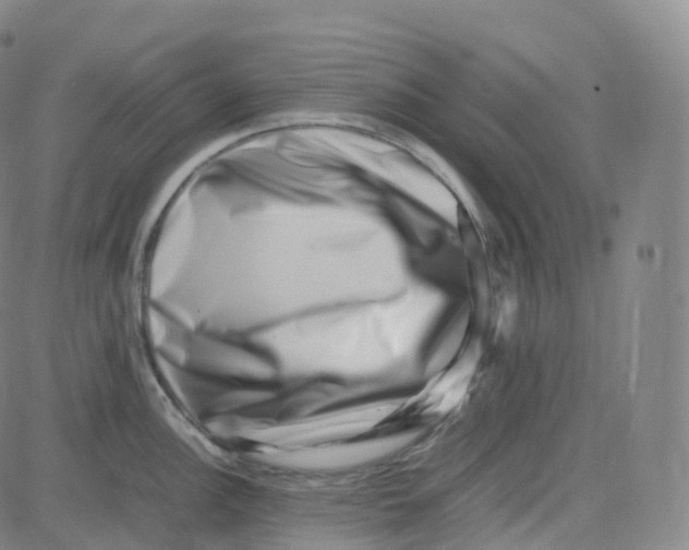 X0000080711148200701051003