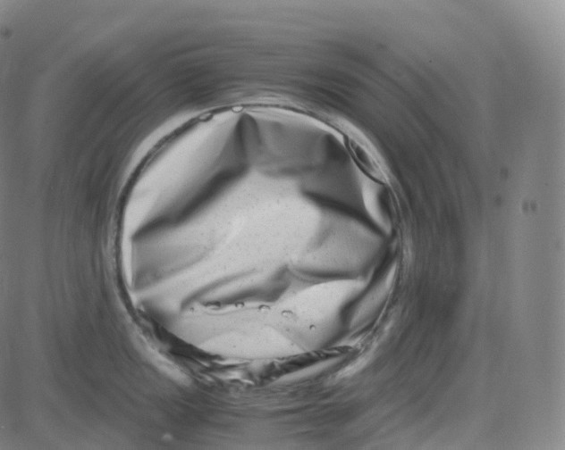 X0000080711149200701051003